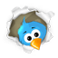 twitter Share on twitter